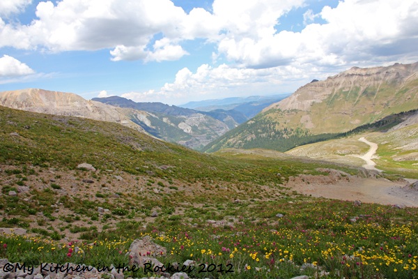 Imogone Pass, Ouray - Telluride, CO